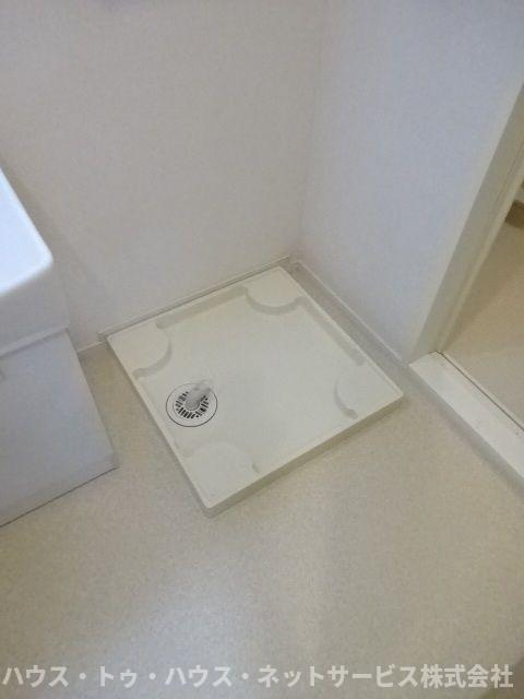 シャイニーのその他