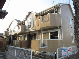 サンセットタウニーの画像