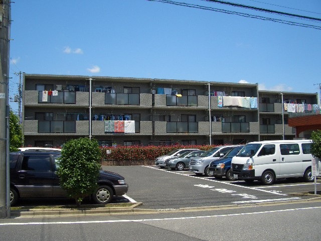 ピアー・エクセレント３