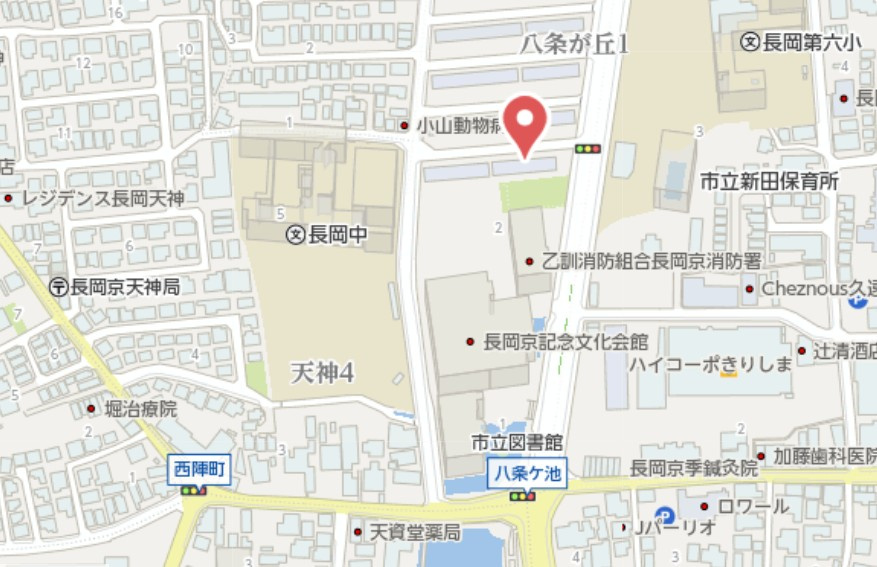 長岡天神ハイツ1号棟　4階の地図