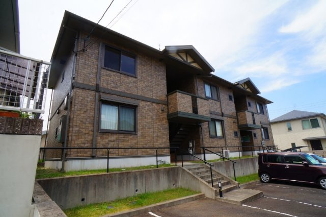 コージーコート