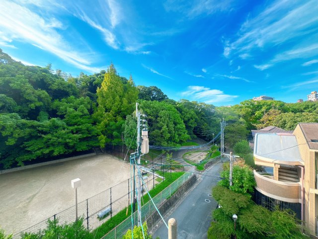 【展望】 | アートウィル赤坂☆仲介手数料無料☆ | 中央区赤坂とは思えないほど、豊かな緑が広がる開放的な眺望。赤坂公園の木々と空を望み、都心にいながら自然に包まれるような心地よさを感じられます。