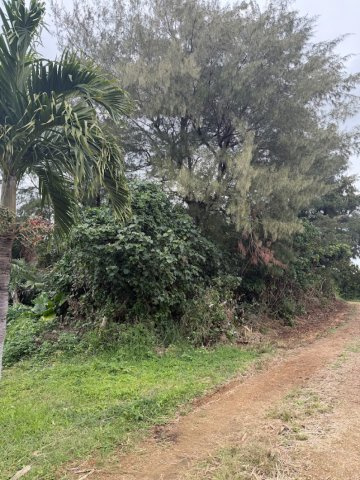 鏡原地区　大型土地
