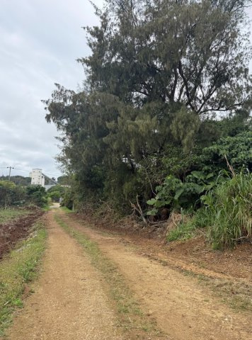 鏡原地区　大型土地の外観