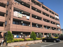 ピークエリシオンの画像