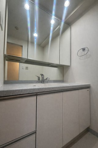 広々ルーフバルコニー／３方角住戸／D'クラウディア瀬谷の洗面所