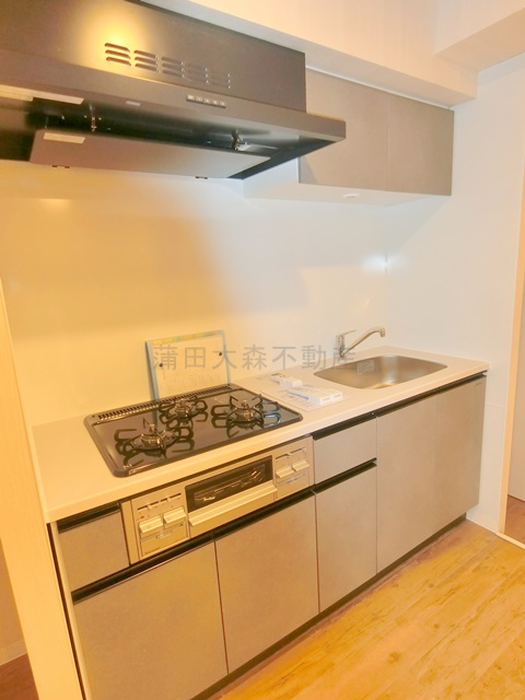 SUN Residenceサンレジデンスのキッチン|3口ガスグリル付システムキッチン