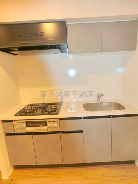 SUN Residenceサンレジデンスのキッチン|3口ガスグリル付システムキッチン