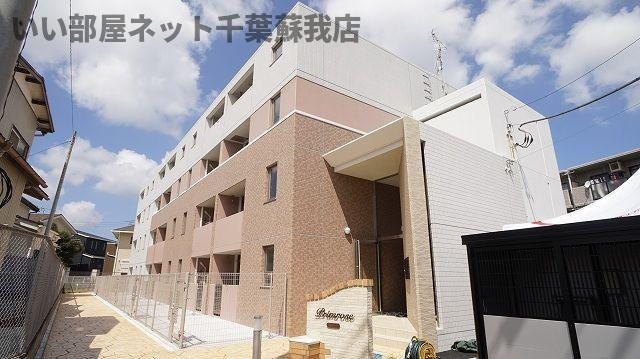 プリムローズ５１