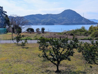 周防大島町東三蒲土地の画像