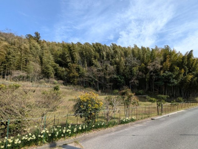 【外観】 | 周防大島町東三蒲土地