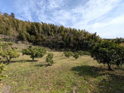 【外観】 | 周防大島町東三蒲土地