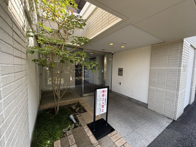 の-の画像
