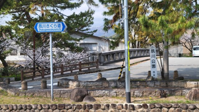 【周辺】 | イトーピア夙川結善町 | 夙川さくら道