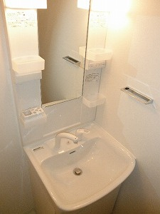 フュージョナル両国DUEの洗面所