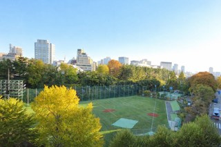 アトラス四谷レジデンスの展望|区立外濠公園を眼下に望み　　四季折々の景色が楽しめます。