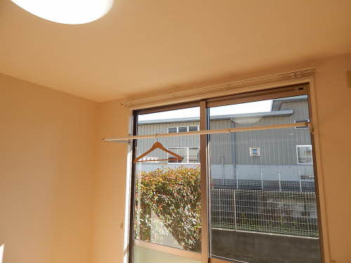 プリマヴェーラのその他