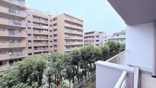 ★仲介手数料半額★ドミール高輪（新規リフォーム済みの２面バルコニー付き2LDK）の展望