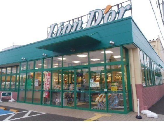 ノーヴァー　ウエスト　Ⅰの周辺|リオンドール南中央店まで350m