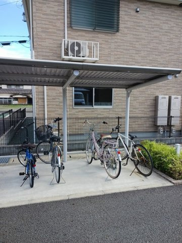 アルバプラシードのその他