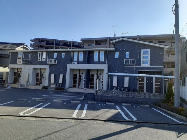 ＮＥＯエレガンス