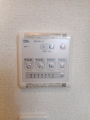 プリマステラのその他