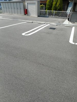 プリマステラのその他