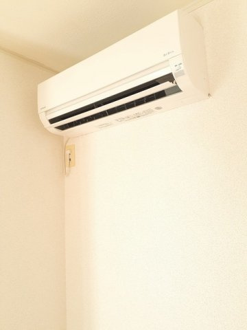 ベル・フィオーレのその他