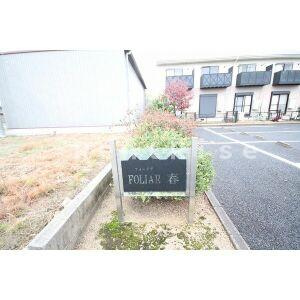 FOLIAR春B