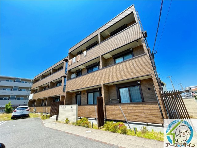 モアレオークラ