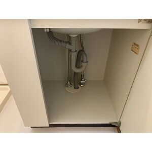 Ｓｕｒｐｌｕｓ　Ｔｗｏ与八杁のその他