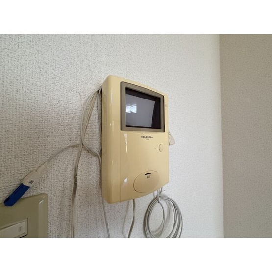 【その他】 | パピヨンカトー