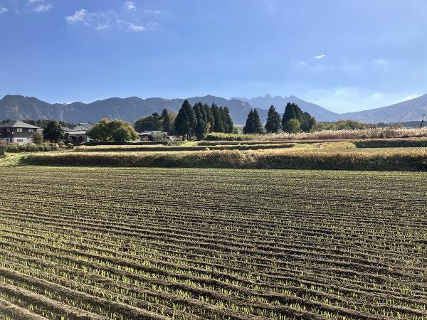 阿蘇市 一の宮町宮地（宮地駅） 住宅用地のその他|この広さがあれば、何ができるでしょう♪