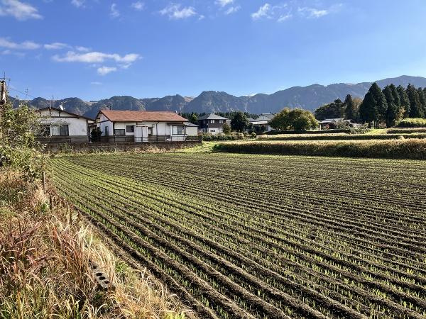 阿蘇市 一の宮町宮地（宮地駅） 住宅用地のその他|最適用途はやはり住宅街でしょうか。