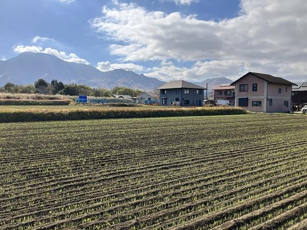 阿蘇市 一の宮町宮地（宮地駅） 住宅用地のその他|遮るものが無い、阿蘇の絶景を満喫。