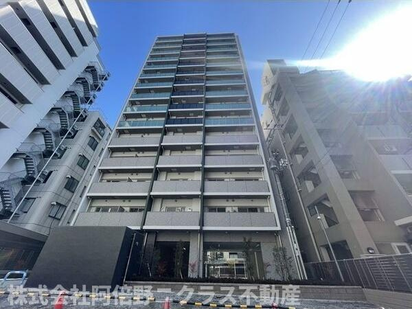 Cherry Blossom 五条通