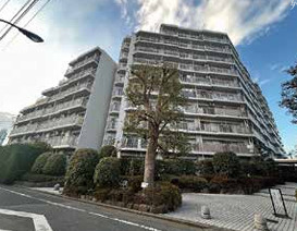 ハイラーク新赤羽の外観