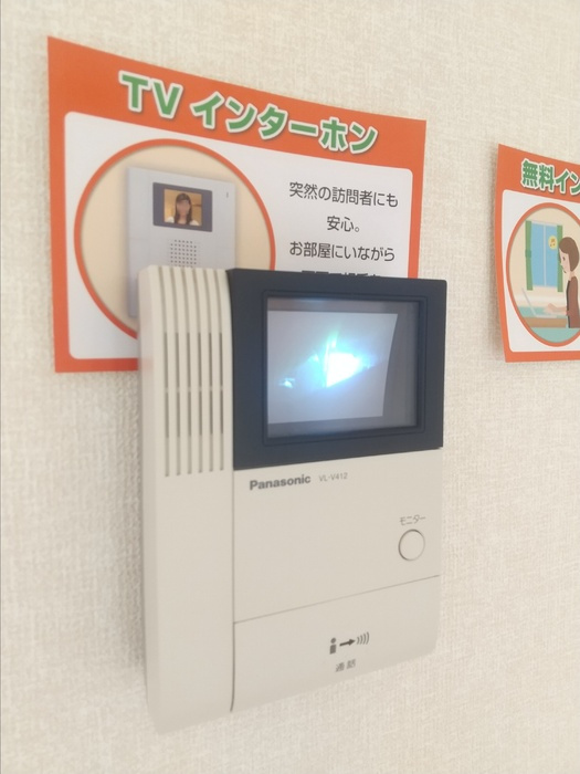 リサ・フラッツのセキュリティ