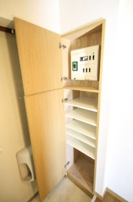 スカイコートお茶の水女子大前第2の収納