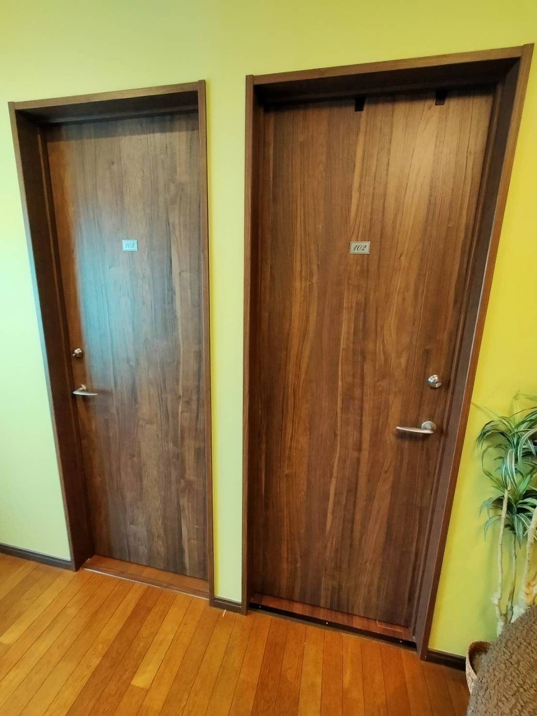 ハナミズキ藤江のその他