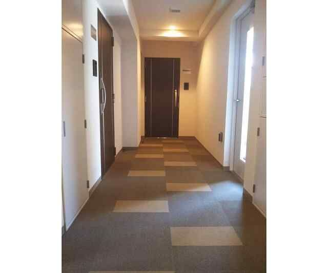 マーシスマルルのその他