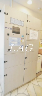 【その他共用部分】 | メゾン・ド・ヴィレ本駒込 | 宅配ボックスになります。