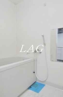 【浴室】 | メゾン・ド・ヴィレ本駒込 | お風呂です。