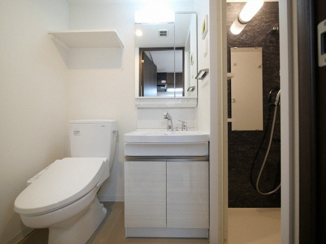 エグゼ難波WESTリバーの洗面所