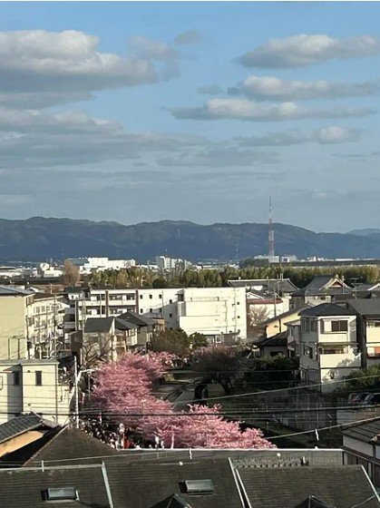 エイジングコート淀城公園