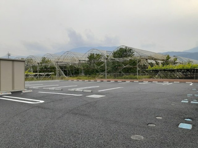 【駐車場】 | チェリーブロッサム