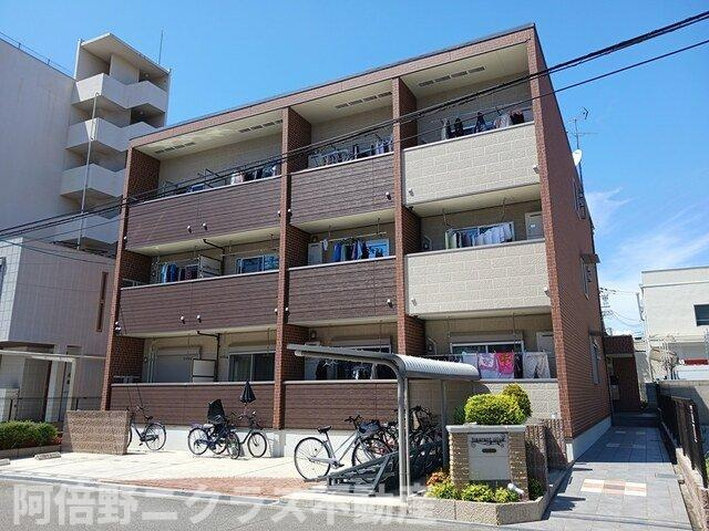 フレグラント　オリーブ