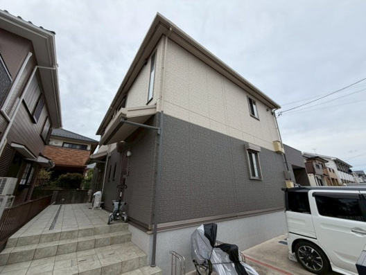 オリーブの木の画像