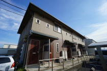 TETTI VERDI 　Ⅰの画像