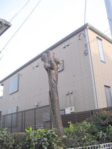 ドエル松ヶ丘の外観|閑静な住環境　耐震耐火旭化成ヘーベルメゾン